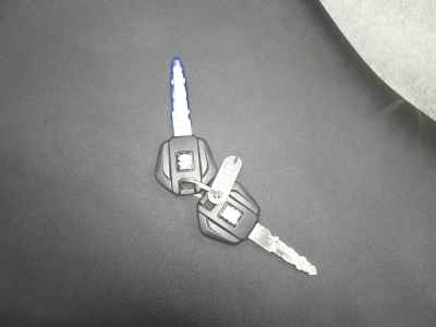 Suzuki V-Strom 250SX