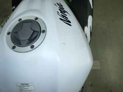 Kawasaki Ninja 250 2020
