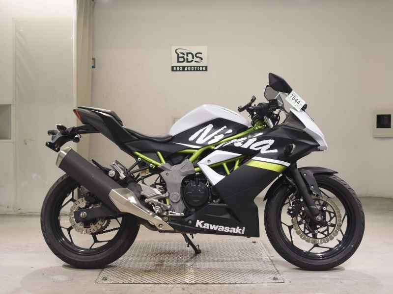 Kawasaki Ninja 250 2020