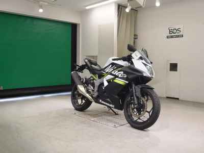 Kawasaki Ninja 250 2020