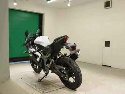 Kawasaki Ninja 250 2020
