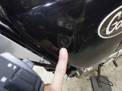 Suzuki Goose 250