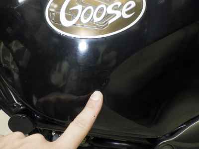 Suzuki Goose 250