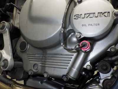 Suzuki Goose 250
