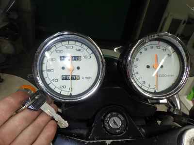Suzuki Goose 250