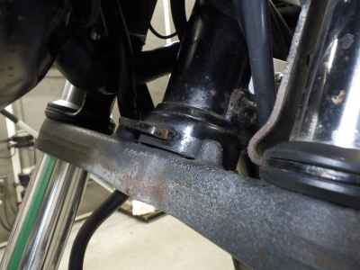 Suzuki Goose 250