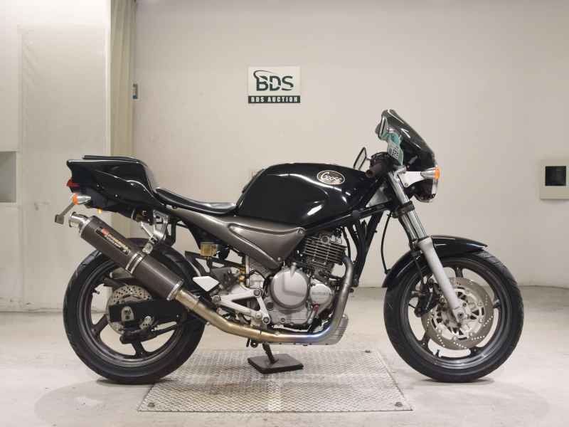Suzuki Goose 250