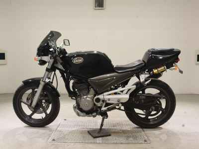 Suzuki Goose 250
