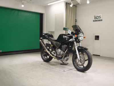 Suzuki Goose 250