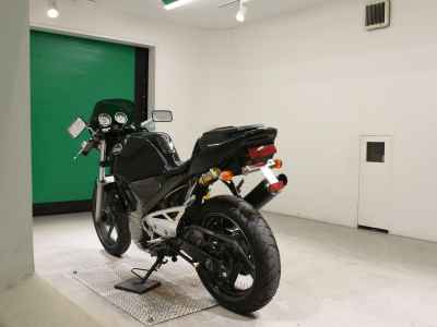 Suzuki Goose 250