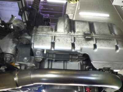 Suzuki Goose 250