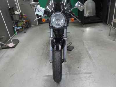 Suzuki Goose 250