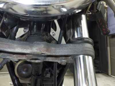 Suzuki Goose 250