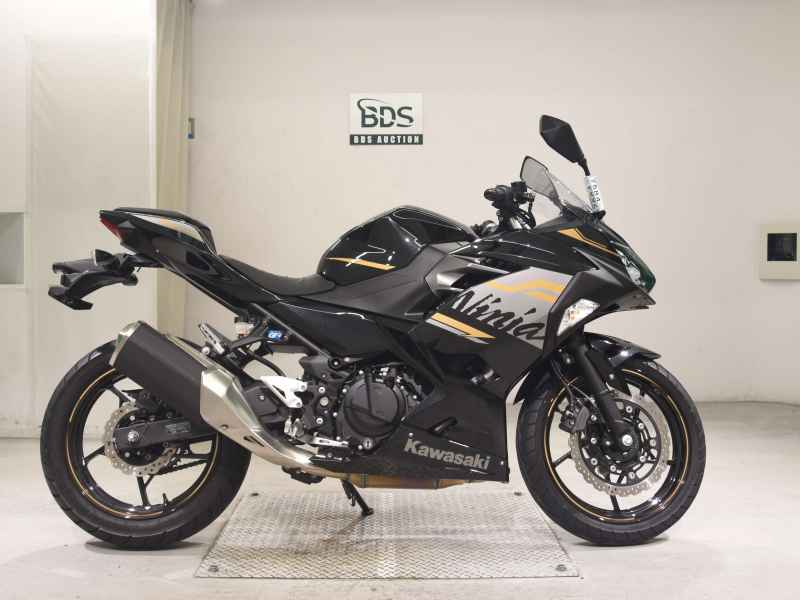 Kawasaki Ninja 250 2020