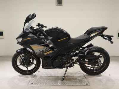 Kawasaki Ninja 250 2020