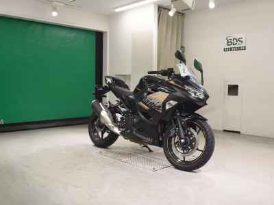 Kawasaki Ninja 250 2020