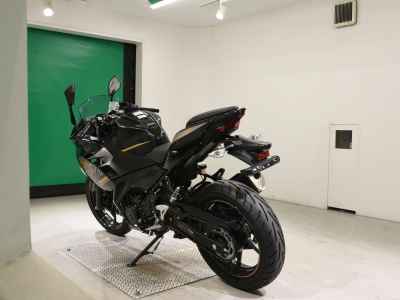 Kawasaki Ninja 250 2020
