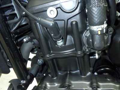 Honda Rebel CMX1100 DCT 2021
