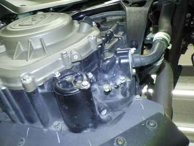 Husqvarna Svartpilen 401 2021