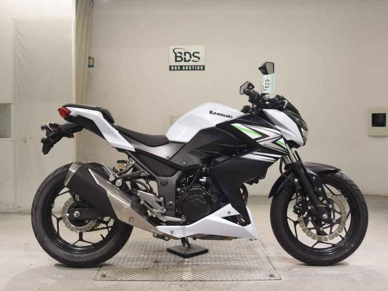 Kawasaki Z250 2014