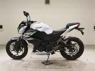 Kawasaki Z250 2014