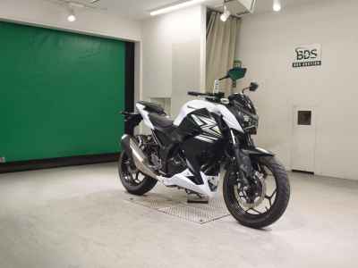 Kawasaki Z250 2014