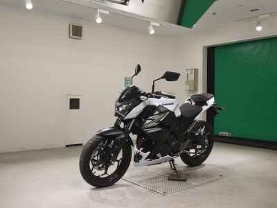 Kawasaki Z250 2014