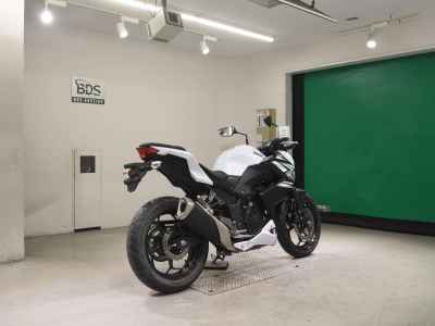 Kawasaki Z250 2014