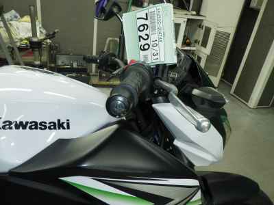 Kawasaki Z250 2014