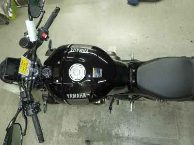 Yamaha XSR900 2025