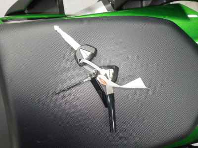 Kawasaki Ninja 1000SX 2024