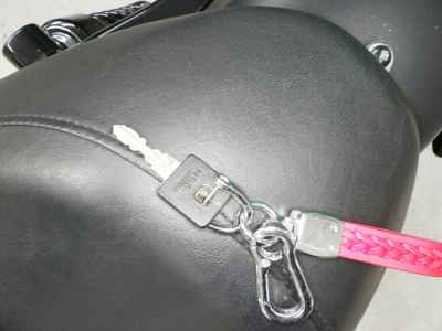 Harley-Davidson Sportster Iron XL883N 2012