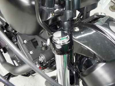 Harley-Davidson Sportster Iron XL883N 2012