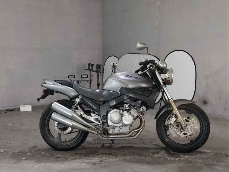 Yamaha ZEAL FZX250