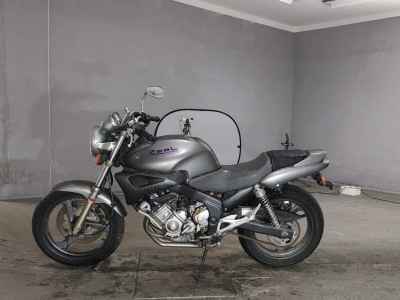 Yamaha ZEAL FZX250