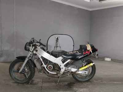 Suzuki WOLF250