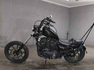 Harley-Davidson Iron XL1200NS 2018
