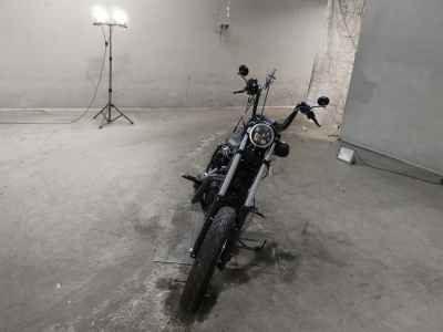 Harley-Davidson Iron XL1200NS 2018