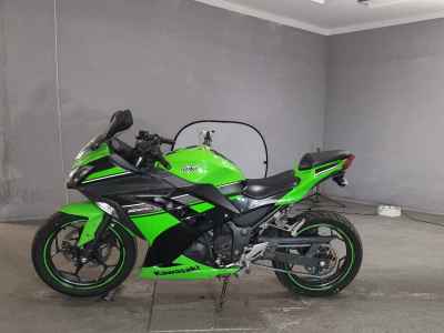 Kawasaki Ninja 250 2013