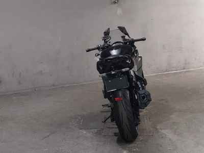 Kawasaki Ninja 1000SX 2020