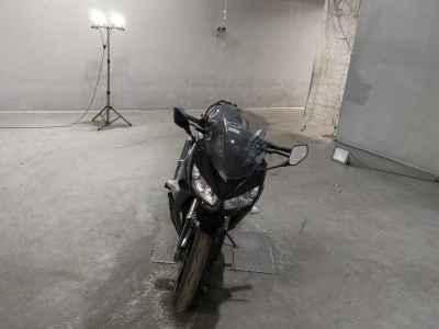 Kawasaki Ninja 1000 2011