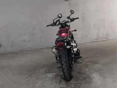 Triumph Scrambler 900 2023