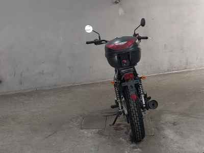 Suzuki GrassTracker Bigboy