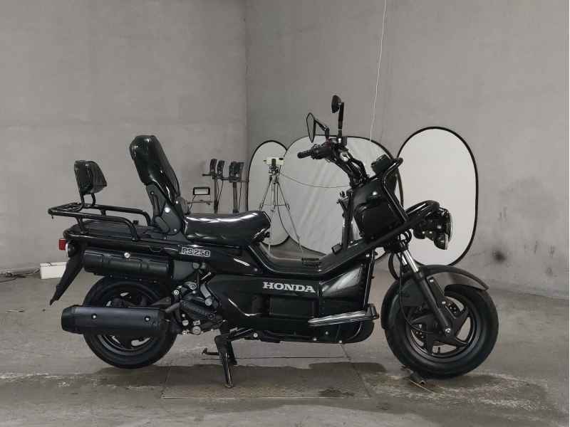 Honda PS250 Big Ruckus 2006