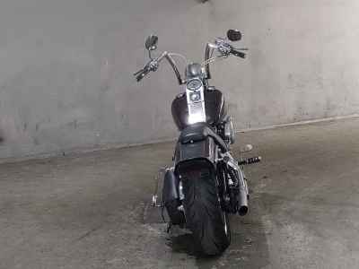 Harley-Davidson Springer Softail FXSTS1450 2005