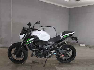 Kawasaki Z250 2019