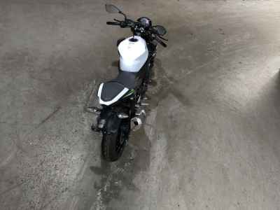 Kawasaki Z250 2019