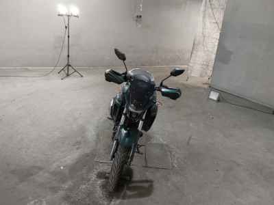 Yamaha FZS25 2021