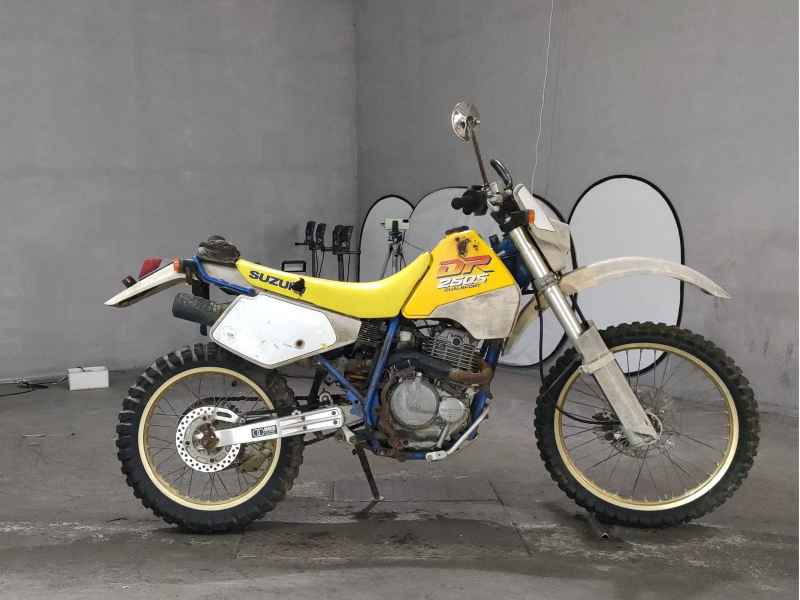 Suzuki DR250S