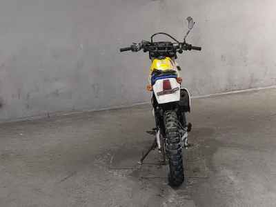 Suzuki DR250S